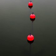 dolorum saepe quidem deleniti